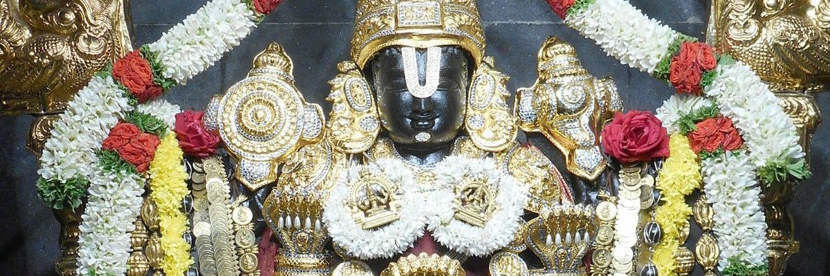 prithvi81's profile banner image
