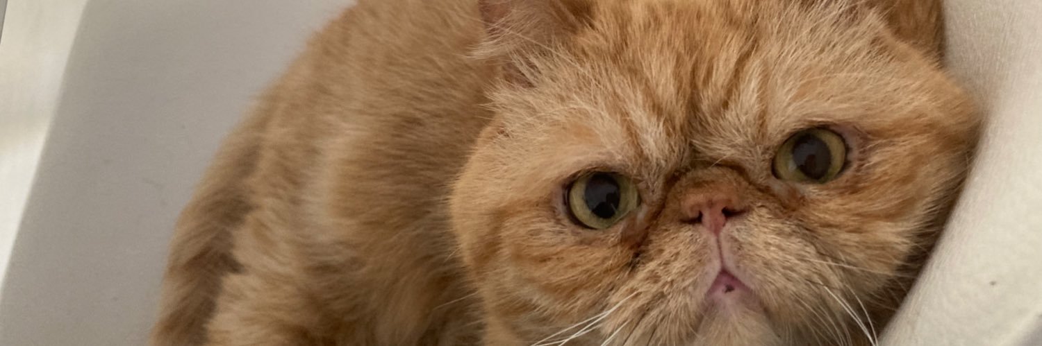 esraguelerr's profile banner image