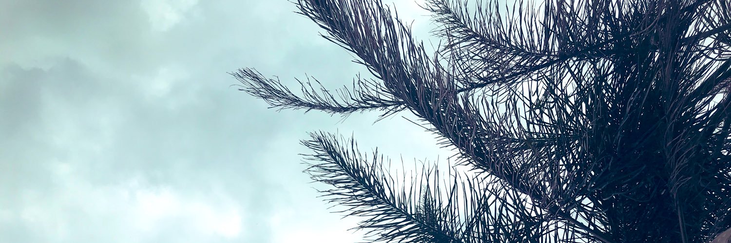 Tapsy101's profile banner image