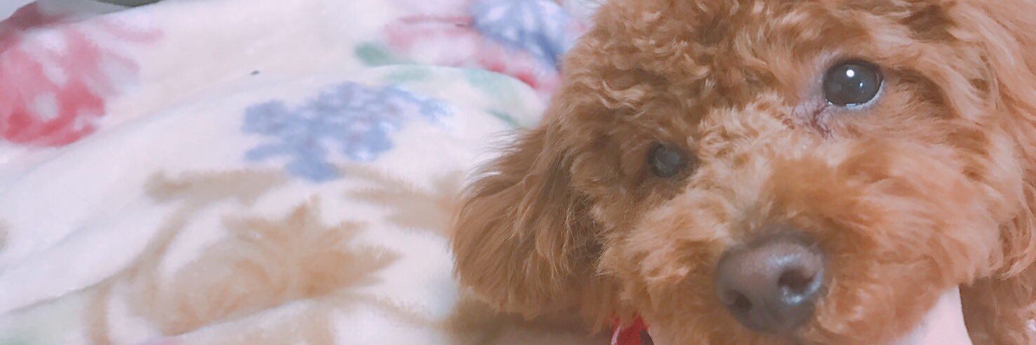 kxppeyk's profile banner image