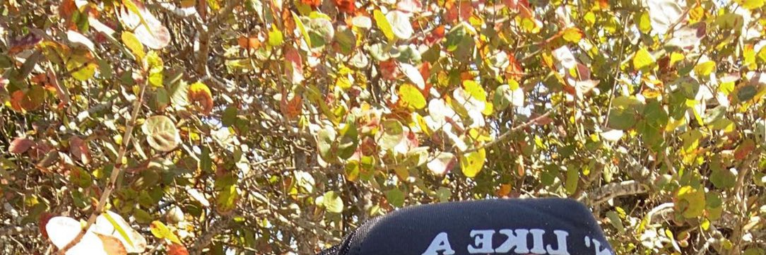 Alyssacat_'s profile banner image