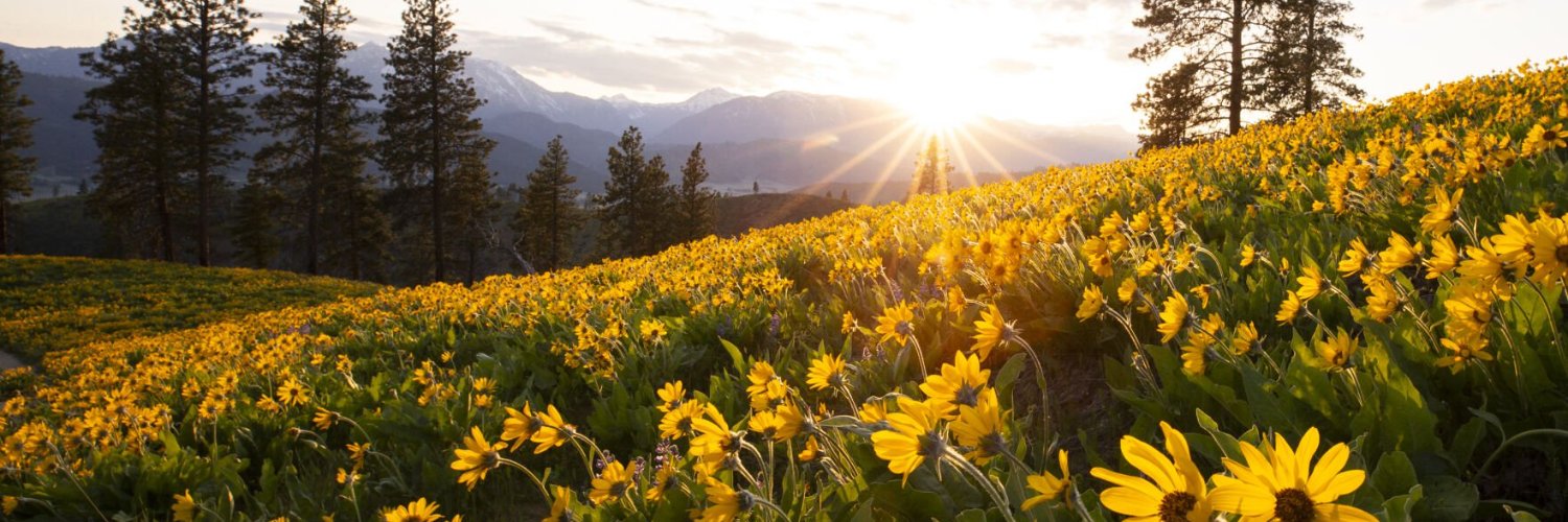 Wenatchee World banner