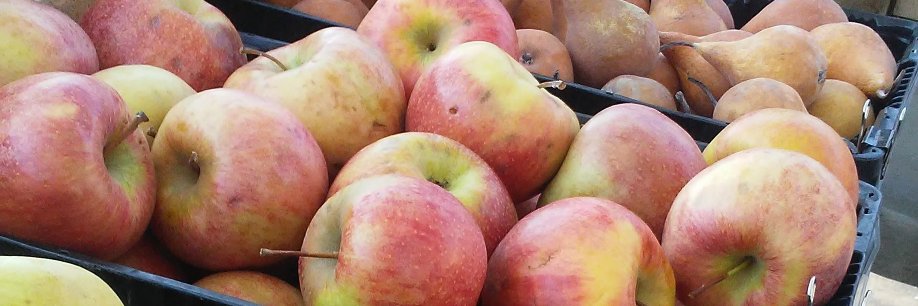NOVAFoodworks's profile banner image