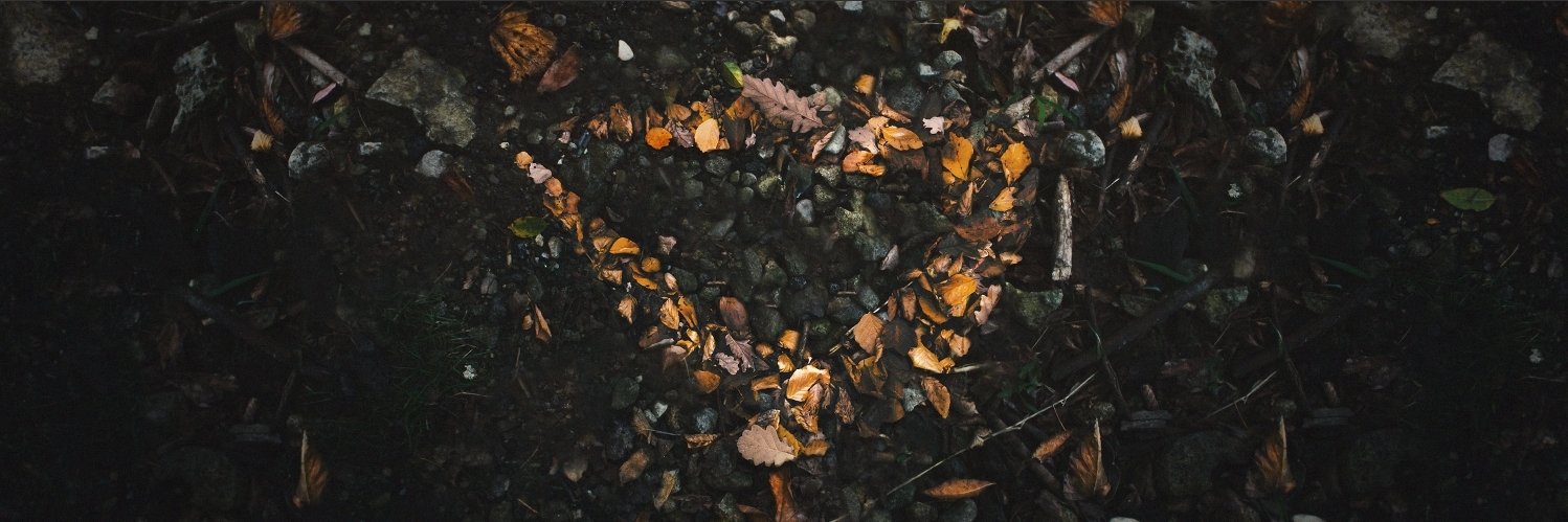 PWNITWEAR's profile banner image