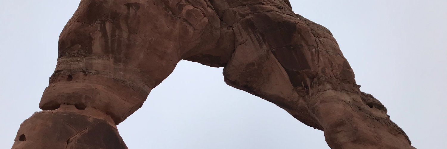 Danmet! (Rugged Individualist) banner