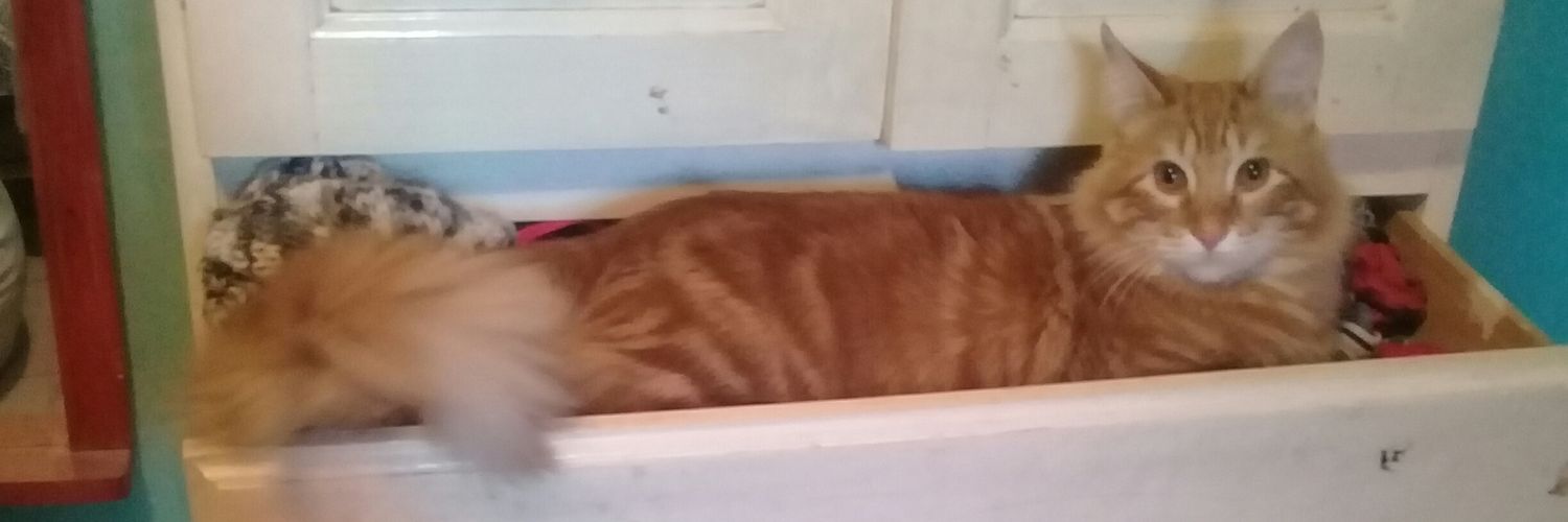LadyMaiRoll's profile banner image