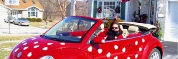 🌻🇺🇦🇺🇸Deb from IL 🏡🚗🌳 banner