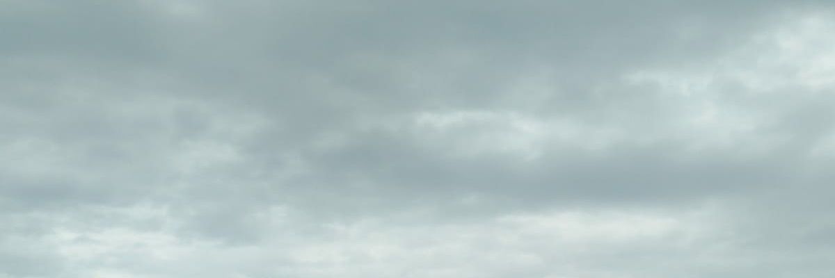 lilie banner