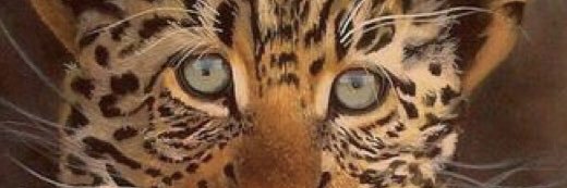 DoreenLewis67's profile banner image