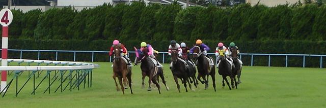 kineko_mark2's profile banner image