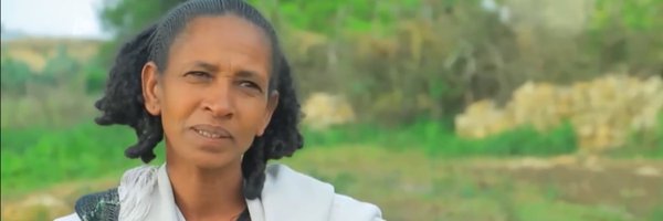 FreeMyTigray11 Profile Banner