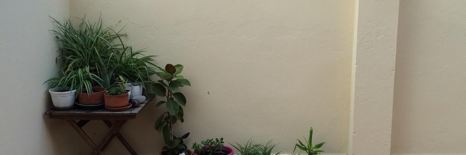 jonaypelluz's profile banner image
