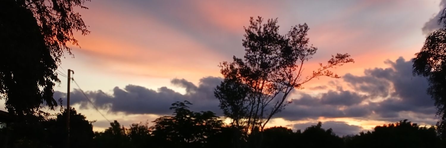 ludecarabina's profile banner image