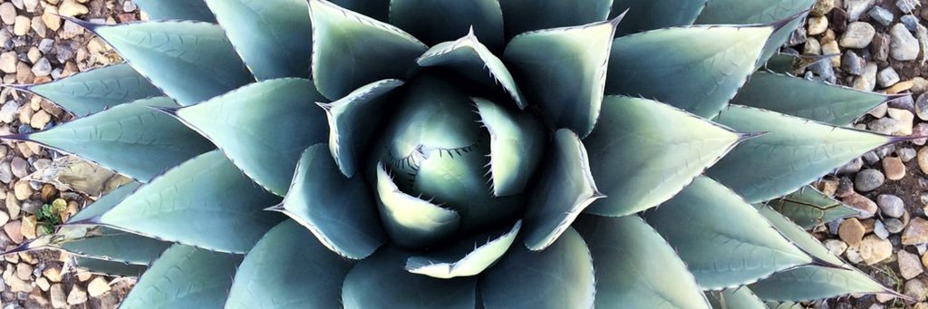 Mez_Durham's profile banner image