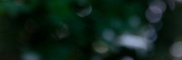 cairncrosslab Profile Banner