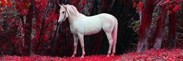 Mariang1Agube Profile Banner