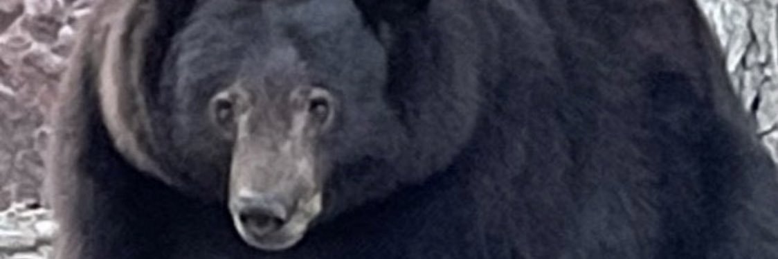 keeprdece's profile banner image