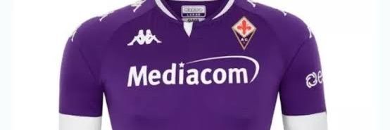 Viva Viola banner