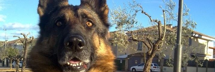 caqui33's profile banner image