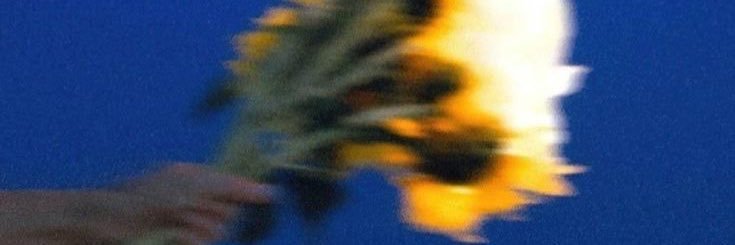 vcgo268's profile banner image