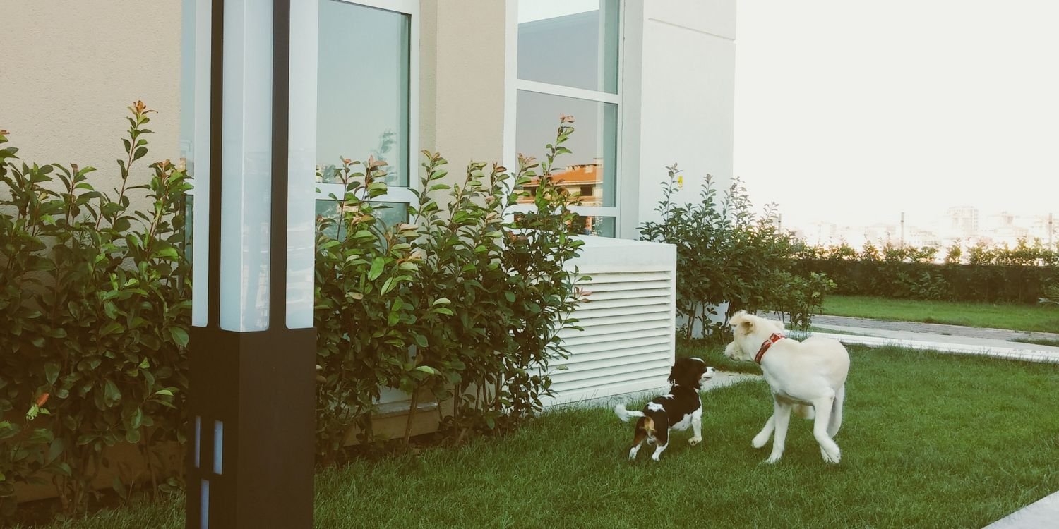 tilbe_soz's profile banner image