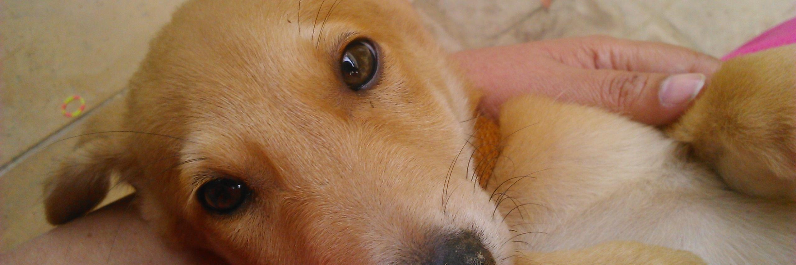 VerboseG's profile banner image