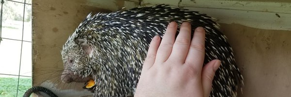 johnhawkinsrwn Profile Banner