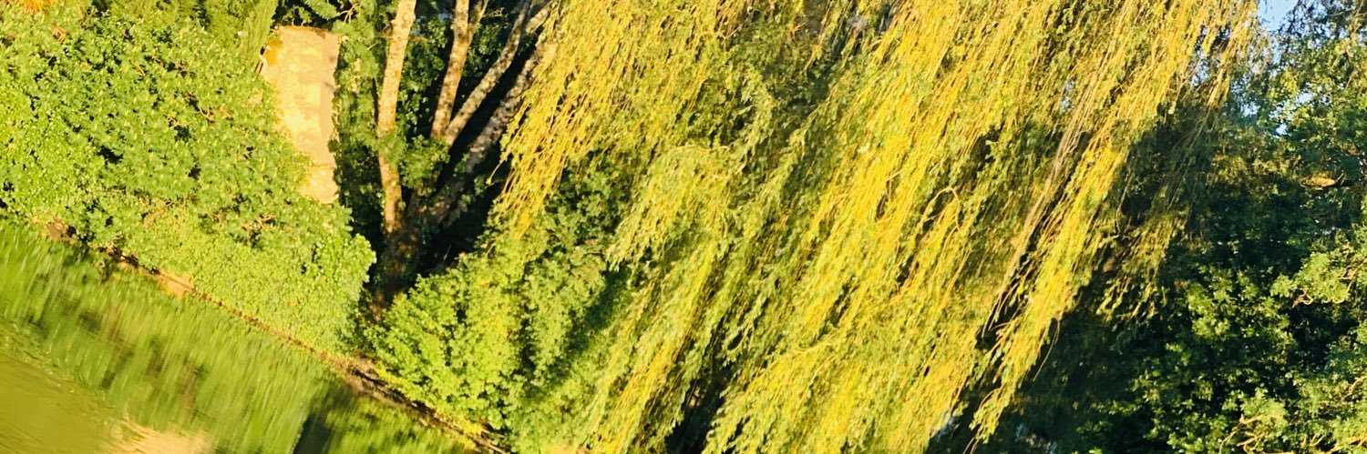 bbtofane's profile banner image