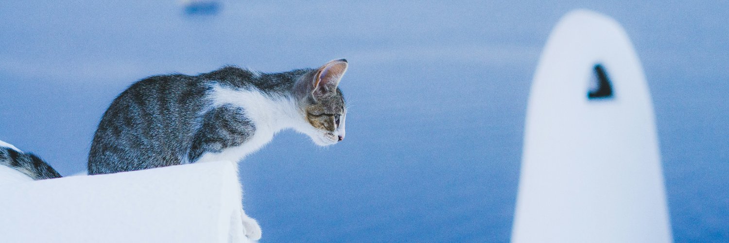 destael's profile banner image