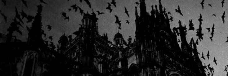 HallowQueen36's profile banner image