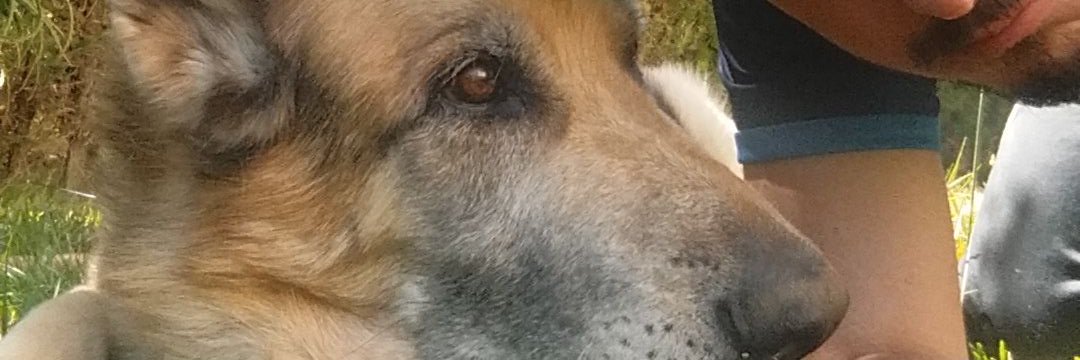 ignastinson's profile banner image