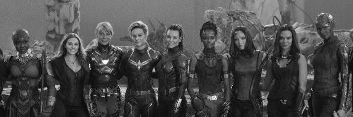 Emotional Support Spirit Animal banner