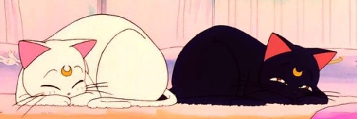 togakill's profile banner image