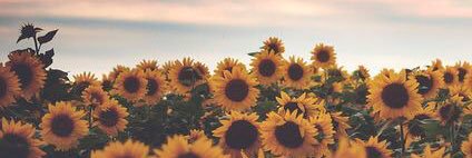 lnburnett's profile banner image