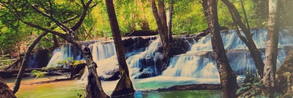 ياسر ((🌹🇸🇦🇸🇦 🌹)) banner