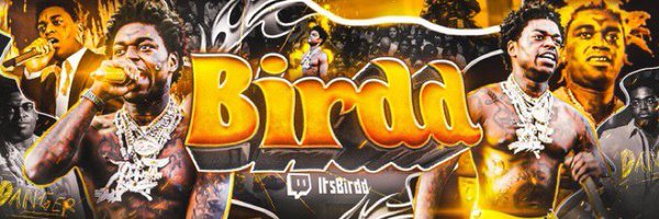 TheOnlyBirddd Profile Banner