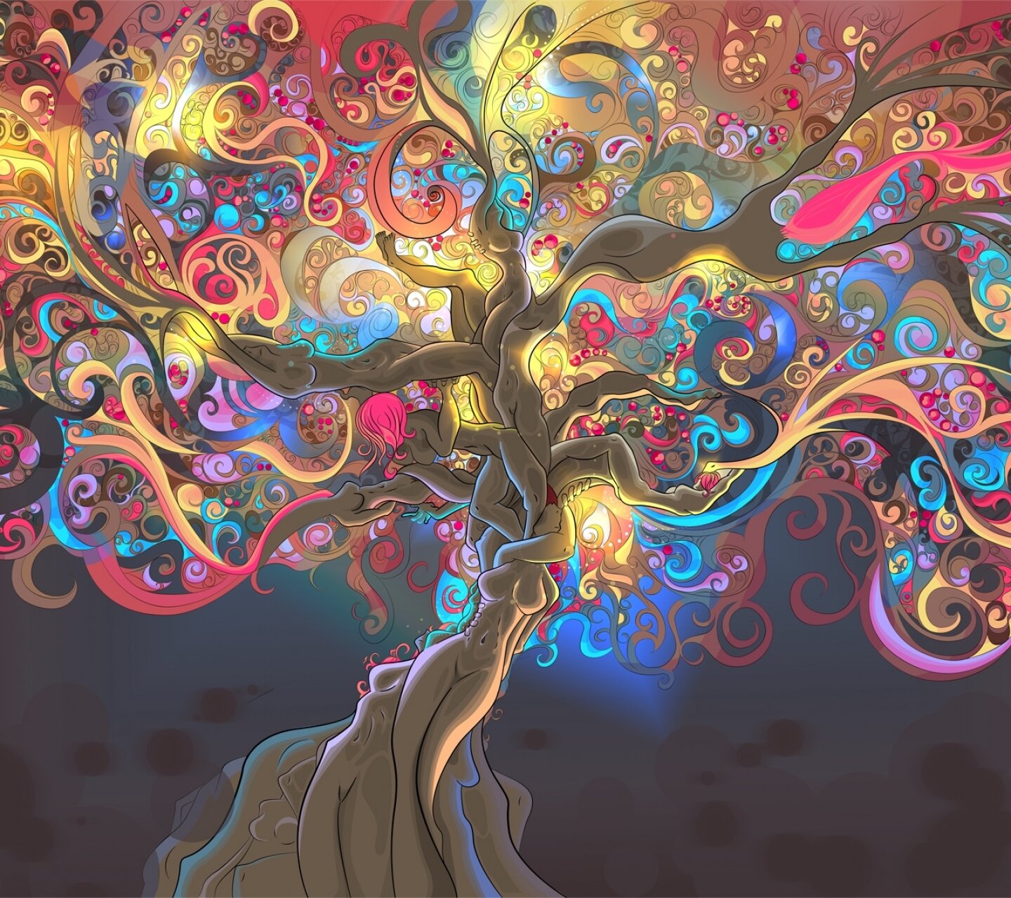 HRadko's profile banner image