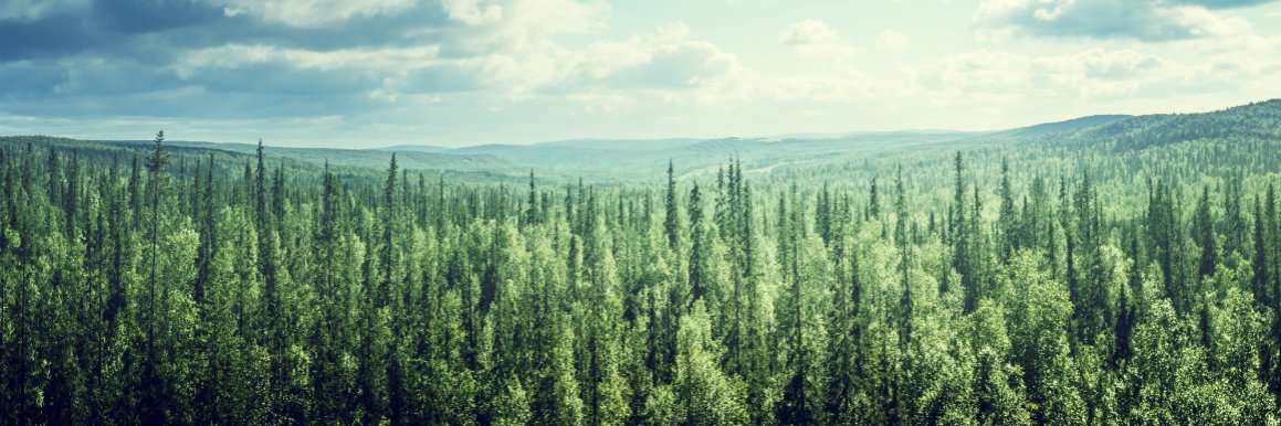 Max_CPAWS_Ntl's profile banner image