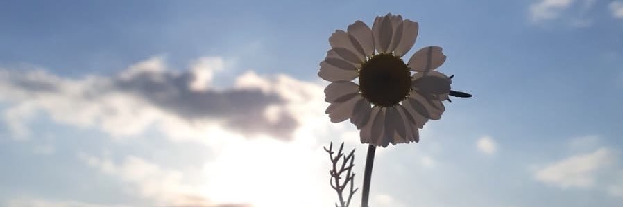 aysinergunn's profile banner image