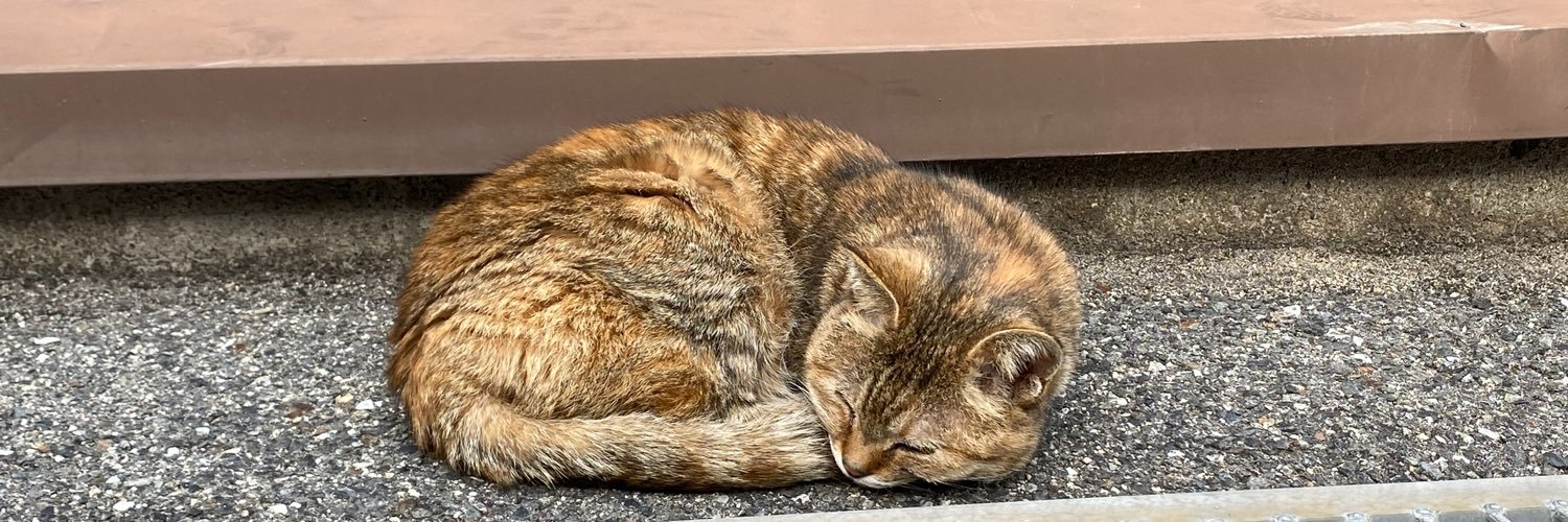 nekokkoooo's profile banner image