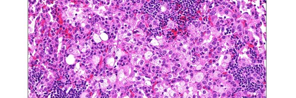 EichnerLab Profile Banner
