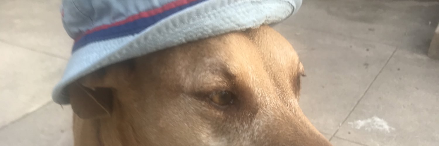 Steve Bannatyne banner