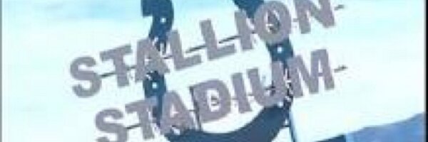 SHSStallions Profile Banner