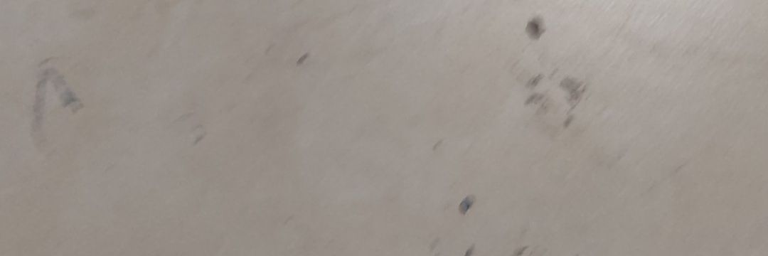 KenliVedat's profile banner image
