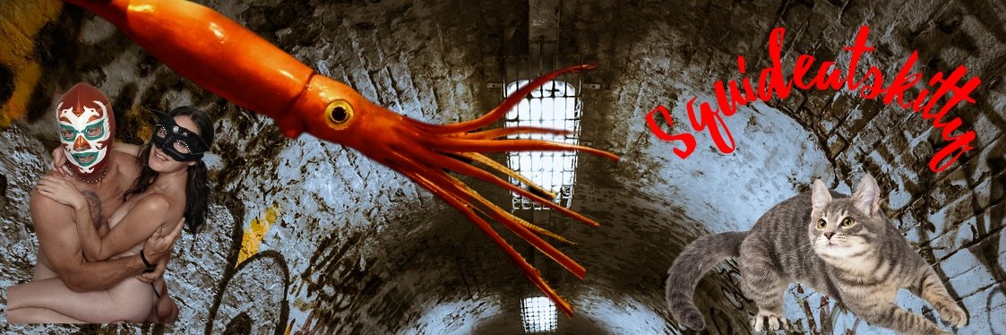 Squidandkitty's profile banner image