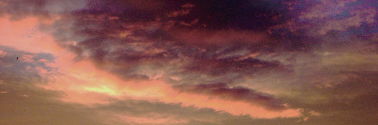 cutetarakan's profile banner image