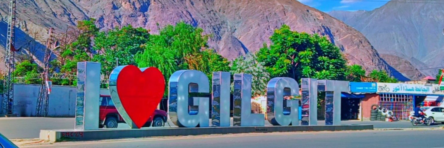 SAP (Social Activist Pakistan 🇵🇰) banner