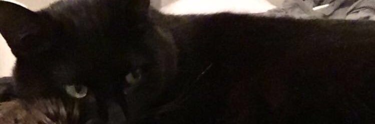 LieLa_B's profile banner image