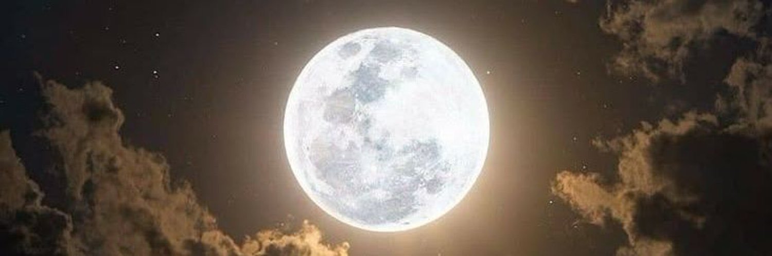 lord ryuu † banner