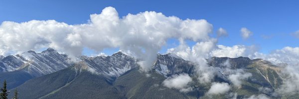 jMxOPvCylmeIeqt Profile Banner